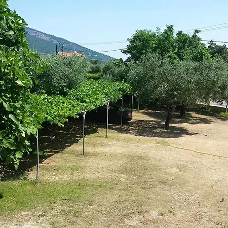 Sotiria בית הארחה 3*