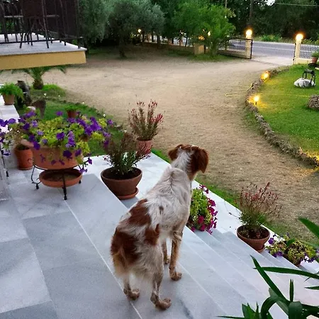 Sotiria Guest house