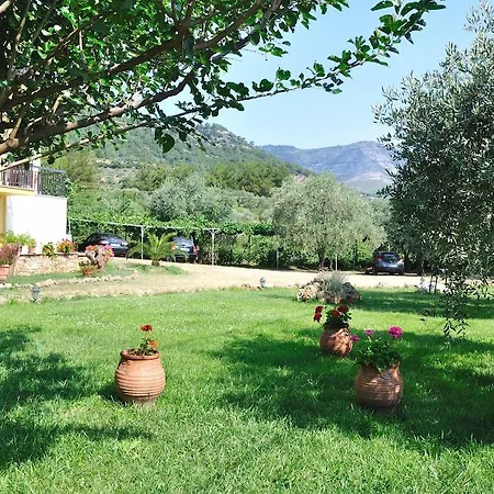 Sotiria コイニラ