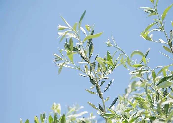 Sotiria Casa de hóspedes